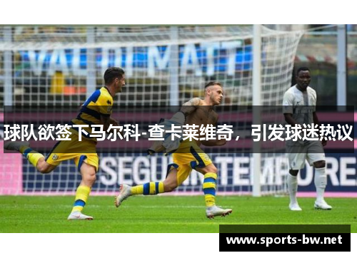 球队欲签下马尔科-查卡莱维奇，引发球迷热议